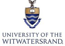 WITS logo