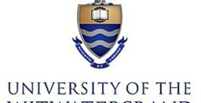 WITS logo