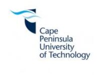 CPUT logo